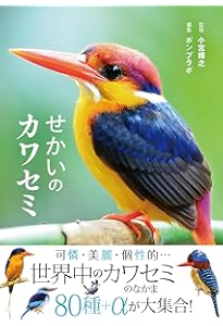 Amazon.co.jp: にっぽんのカワセミ : 矢野亮: Japanese Books