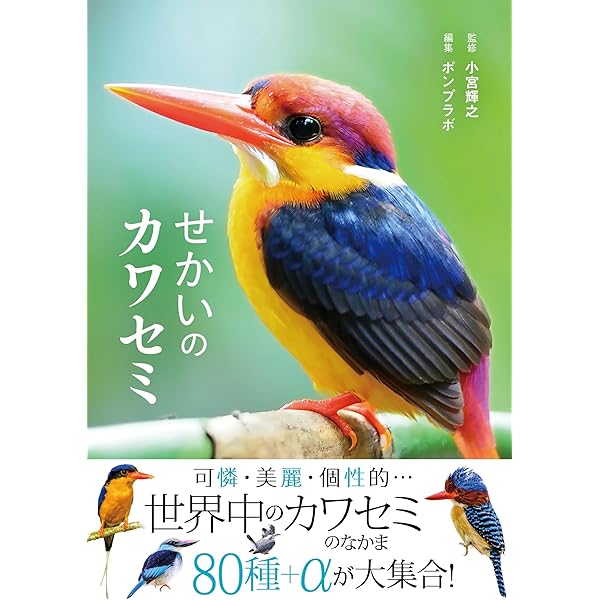世界の美しいカワセミ 世界の美しいカワセミ : 上田恵介 | HMV&BOOKS online