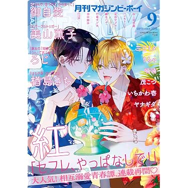 16 BL本まとめ売り　ボーイズラブコミックス　BOYS LOVE COMICS Amazon.co.jp 売れ筋ランキング: ボーイズラブの雑誌 の中で最も人気の