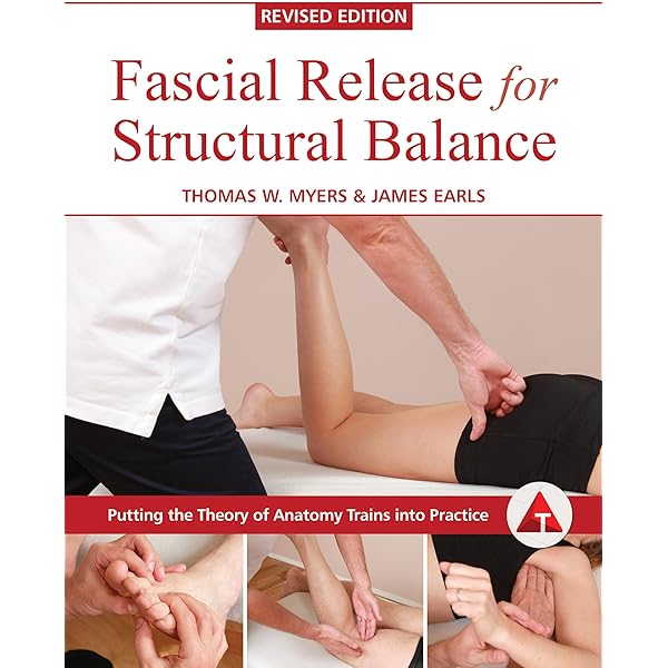 Amazon | Clinical Guide to Positional Release Therapy | Speicher