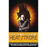 Heat Stroke: The gripping and action-packed adventure (Weather Warden Book 2)