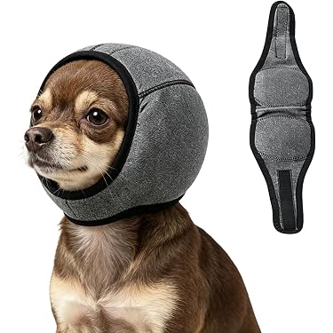 Amazon.co.jp 最新リリース: 犬用ヘルスケア の新着ランキングです。