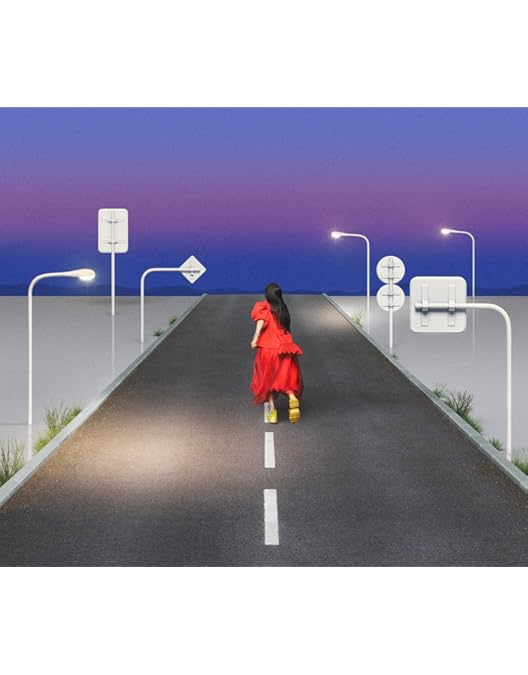 Amazon.co.jp: AIMYON TOUR 2024-25 “ドルフィン・アパート” IN 大阪城