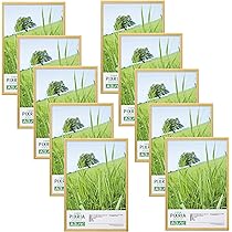 ハクバ HAKUBA 木製額縁 ピクスリア A3サイズ 10枚セット Amazon | ハクバ 【Amazon.co.jp限定】HAKUBA 木製額縁