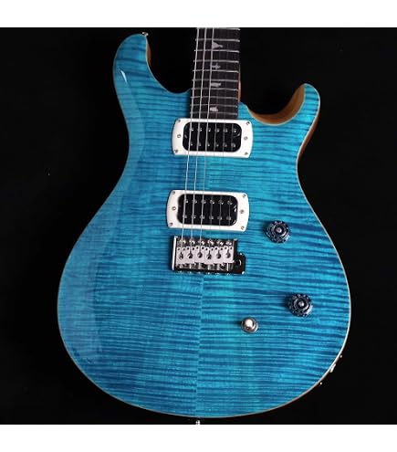 Amazon | PRS SE Silver Sky Lefty Dandy Lion John Mayerモデル