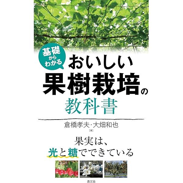 熱帯果樹の栽培: 完熟果をつくる・楽しむ28種 | 米本 仁巳 |本 | 通販