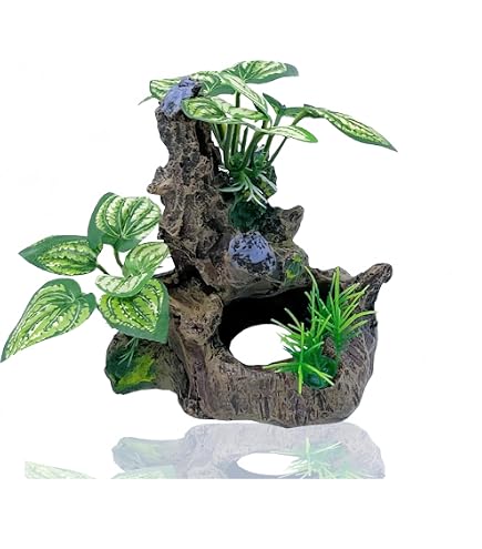 Amazon.co.jp: 流木 アクアリウム 水槽 水槽用アクアリウム
