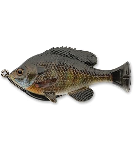 Amazon | Spro - KGBシリーズ チャドシャッド180 ゴーストトラウト