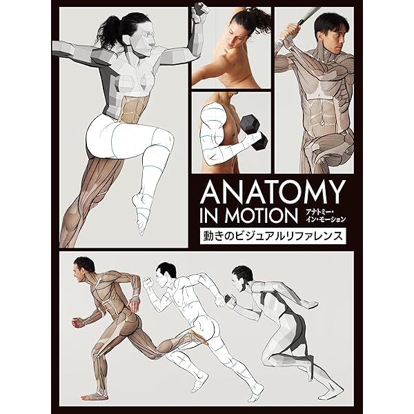 Human Anatomy for Artists　人間の解剖学 Amazon.co.jp: アーティストのための人体解剖学ビジュアルリファレンス