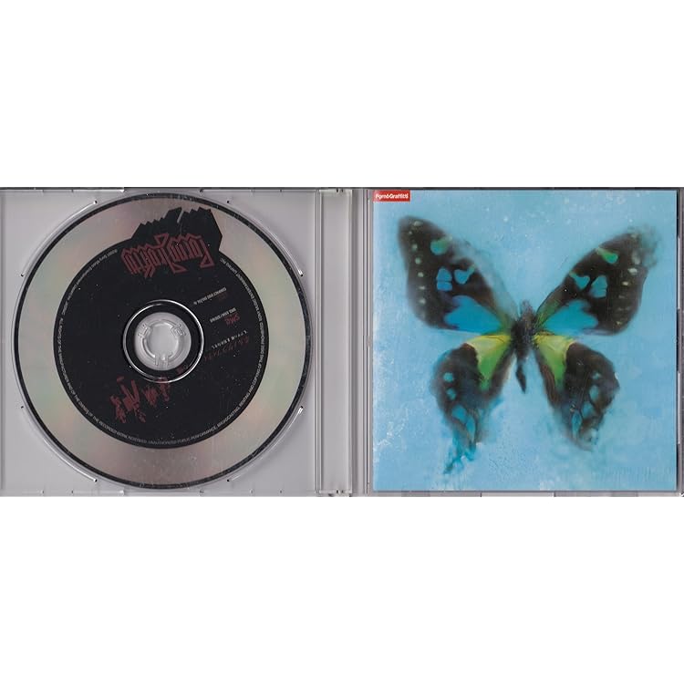 Amazon.co.jp: ヴォイス - ポルノグラフィティ: ミュージック