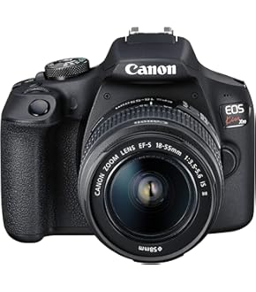 デジタル一眼レフカメラ/CANON EF 75-300㎜ F4-5.6 II デジタル一眼レフカメラCanon EF75-300㎜F4-5.6 II EF75-300mm