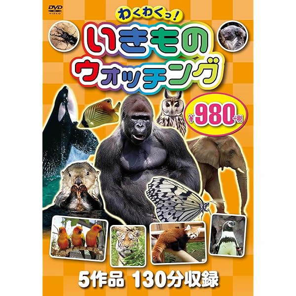 海獣館 かいじゅうかん ウォッチング KID-1402 [DVD] 9jupf8b Amazon.co.jp: 海獣館 かいじゅうかん ウォッチング KID-1402