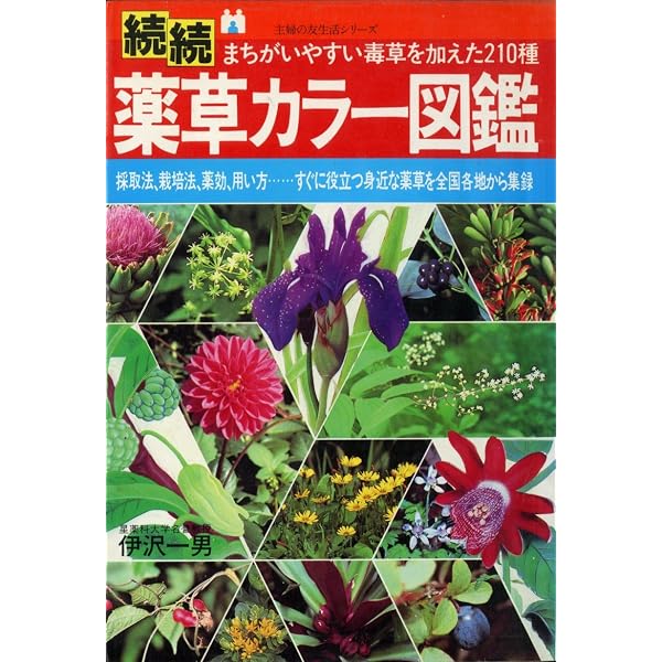 薬草　カラー図鑑　1.2.3.4 薬草カラー図鑑 1 | 伊澤 一男 |本 | 通販 | Amazon