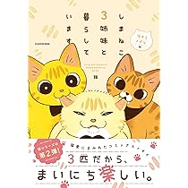 しまねこ☆いきなり購入NG☆ しまねこ☆いきなり購入NG☆ しまねこ☆いきなり購入NG☆ しま