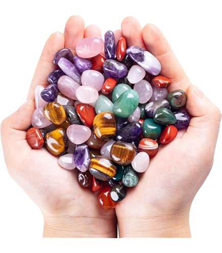 Amazon | 化石標本 アンモナイト 実習用 | 化石・発掘 | おもちゃ