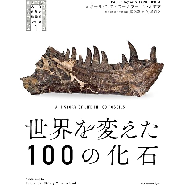 Amazon.co.jp: サピエンス物語 (大英自然史博物館シリーズ 2) : 大英