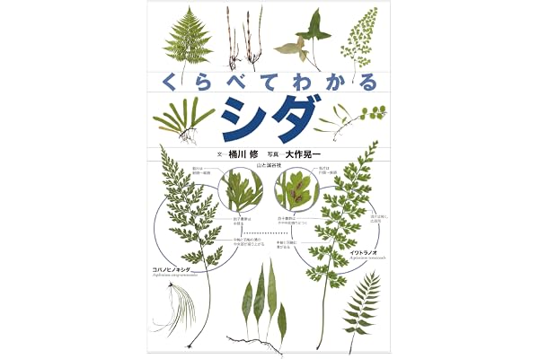くらべてわかる シダ