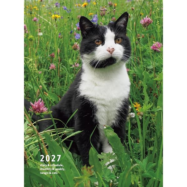 2027 岩合光昭 ねこ 卓上週めくりカレンダー ([カレンダー]) | 岩合