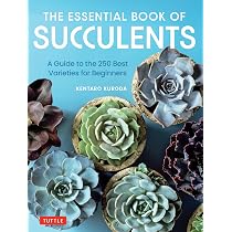 The Essential Book of Succulents: A Guide to the 250 Best