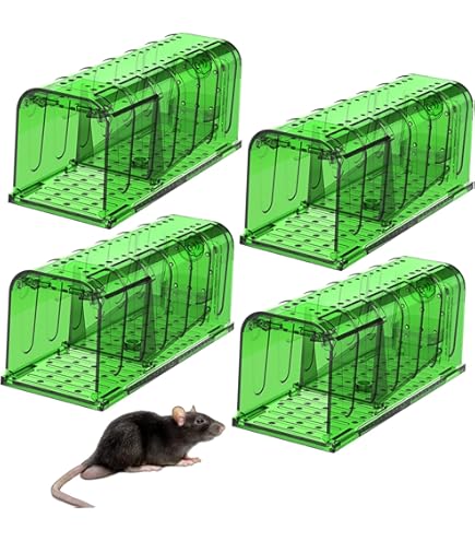 Amazon.co.jp: 相長木工 ネズミトリ 両バネ : DIY, Tools & Garden