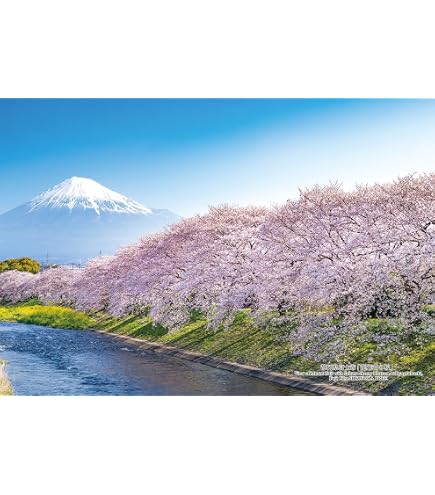 Amazon.co.jp: キューティーズ 300ピース ジグソーパズル 坂本龍馬