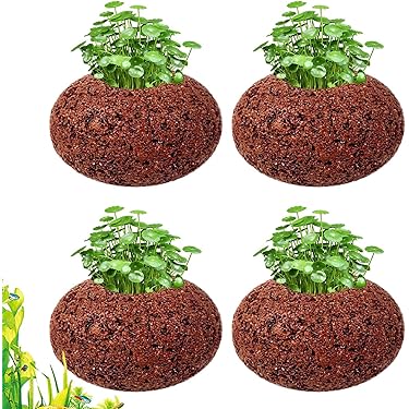 ☆atsupapa☆様 リクエスト 4点 まとめ商品　水草 水草⭐︎様 リクエスト 4点 まとめ商品 ☆atsupapa☆様