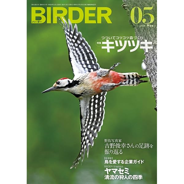 BIRDER（バーダー）2025年12月号 鳥撮カメラ使いこなし術 | BIRDER編集