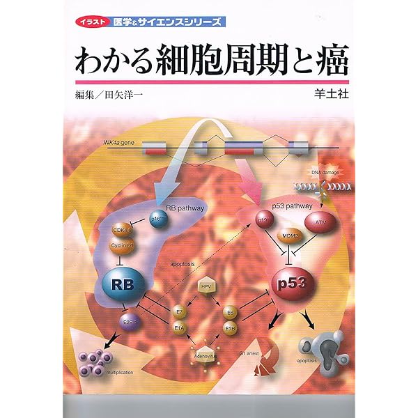 わかる細胞周期と癌 イラスト医学 サイエンスシリーズ 洋一 田矢 本 通販 Amazon
