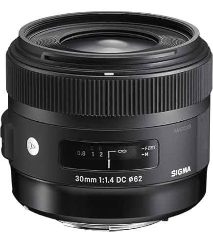 Amazon.co.jp: SIGMA 単焦点中望遠レンズ 85mm F1.4 EX DG HSM ニコン  