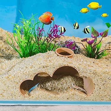 Amazon.co.jp ほしい物ランキング: 水槽用装飾テーマオーナメント で