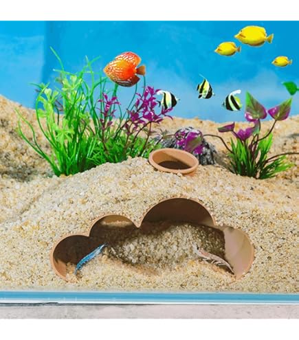Amazon.co.jp: Toileum 魚エビの洞窟隠れ家 水槽トンネル 魚 エビの