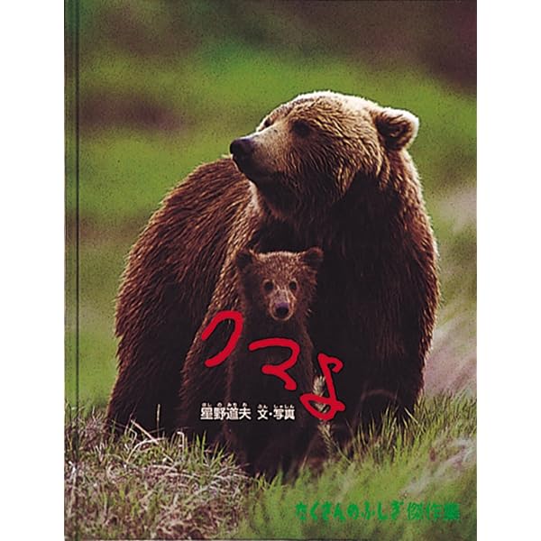 愛の物語 Alaskan Dream 3 | 星野 道夫 |本 | 通販 | Amazon