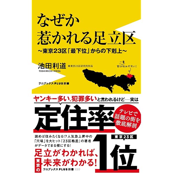 地域批評シリーズ11 これでいいのか東京都足立区 | 昼間たかし, 田川