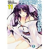 空戦魔導士候補生の教官11 (ファンタジア文庫)