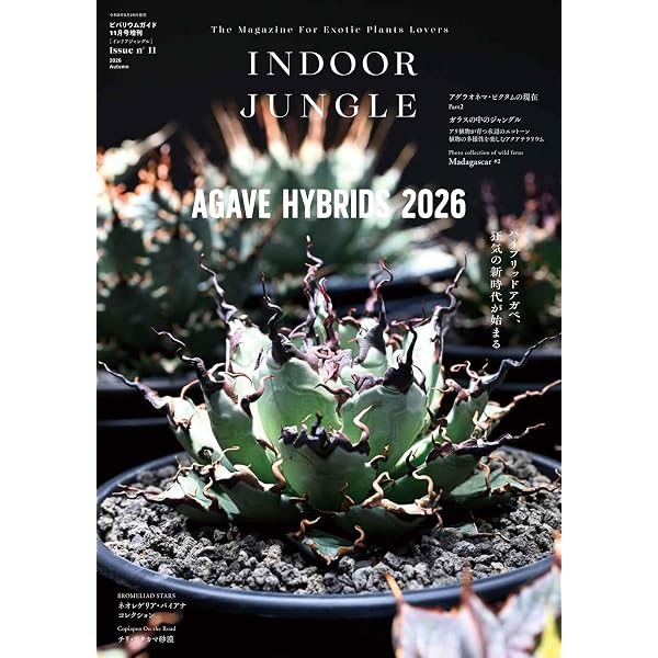 Amazon.co.jp: INDOOR JUNGLE（インドアジャングル） No.01 : INDOOR