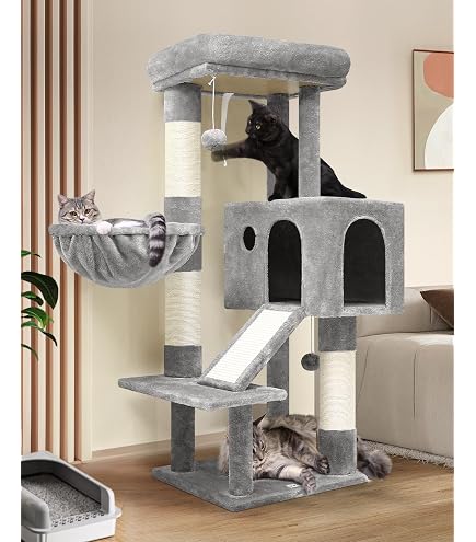 Amazon | Globlazer S52 キャットタワー 多頭飼い 大型猫用 低い 安定