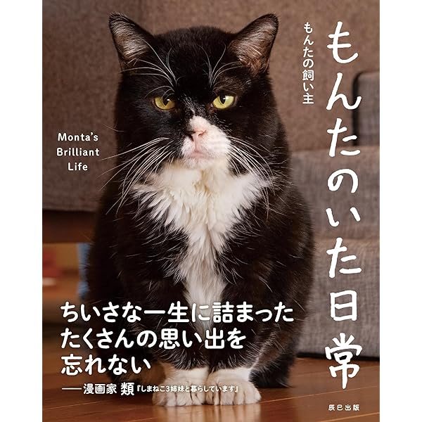 Amazon.co.jp: 二本足の猫・エースのごきげん日和 eBook : 新井