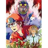 はたらく細胞BLACK 3(完全生産限定版) [Blu-ray]