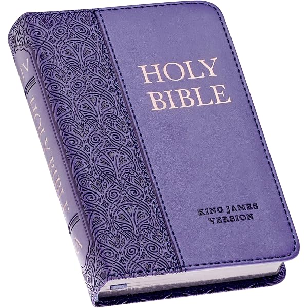 【英語勉強】【大型聖書】 CEV BIBLE LP　American Bible 英語勉強】【大型聖書】 CEV BIBLE LP American Bible 英語勉強