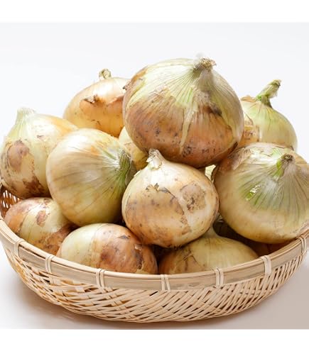 Amazon.co.jp: フランスの野菜通年 エシャロットフランス産約1Kg