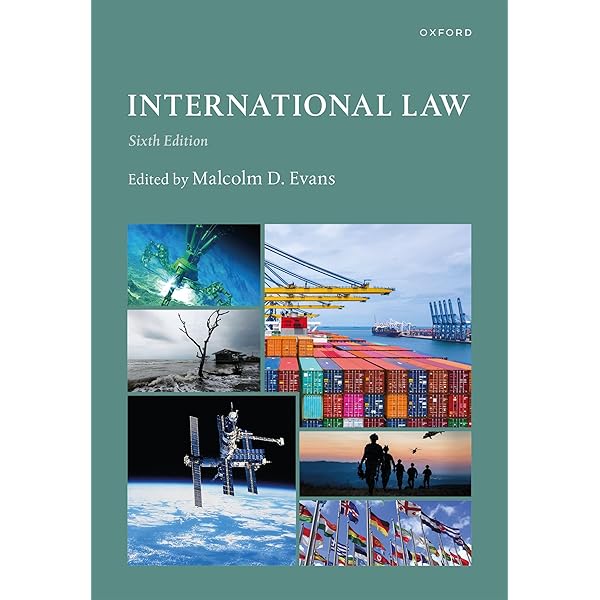 Amazon | An Introduction to Public International Law | Rose Amazon | An Introduction to Public International Law | Rose