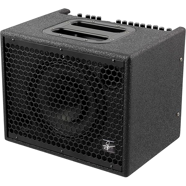 Amazon | AER アコースティック ギター アンプ 40W Alpha | エレキ 