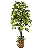 Amazon｜Tangkula 観葉植物 フェイクグリーン 120cm フェイク 植物