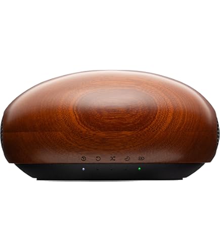 パイオニア S-1000Twin用ツイーターTT-01 Pioneer S-1000TwinA の改造 | NARTHEXの日々