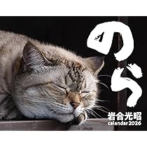 カレンダー2026 そとねこ（月めくり/壁掛け/600mm×380mm） (インプレス