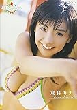 ミスマガジン2006 倉科カナ [DVD]