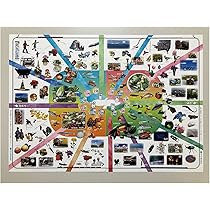 Amazon.co.jp: お風呂ポスター【きせつの写真ずかん A3サイズ 2