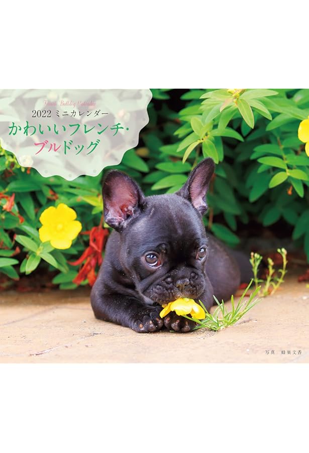 22年 カレンダー かわいいフレンチ ブルドッグ 誠文堂新光社カレンダー 蜂巣 文香 本 通販 Amazon