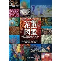 新訂 タカラガイ・ブック 日本のタカラガイ図鑑 Cowries of Jpana