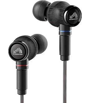 JVC HA-FW01 WOOD 有線イヤホン ハイレゾ対応 楽天市場】JVC インナーイヤー イヤホン ハイレゾ HA-FW01